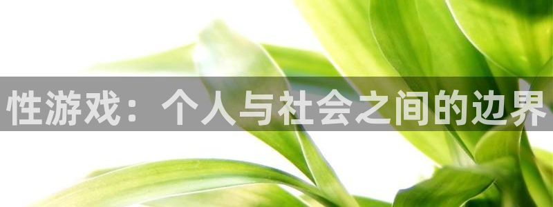 性游戏：个人与社会之间的边界
