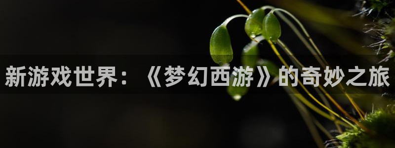 新游戏世界：《梦幻西游》的奇妙之旅