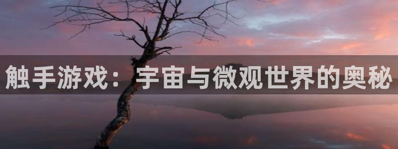威廉希尔初赔：触手游戏：宇宙与微观世界的奥秘