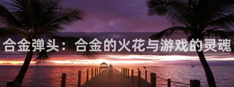 威廉希尔是哪国的平台：合金弹头：合金的火花与游戏的灵魂