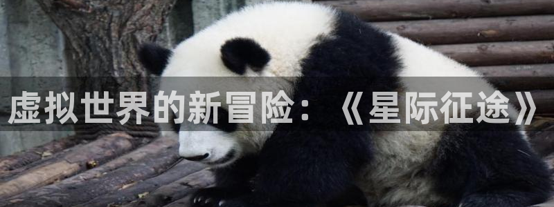  威廉希尔在中国有没有平台：虚拟世界的新冒险：《星际征途》