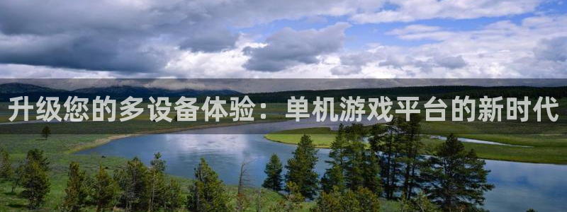 威廉希尔在国内能用吗：升级您的多设备体验：单机游戏平台的新时