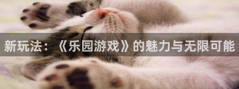  威廉希尔和inter对比：新玩法：《乐园游戏》的魅力与无限可