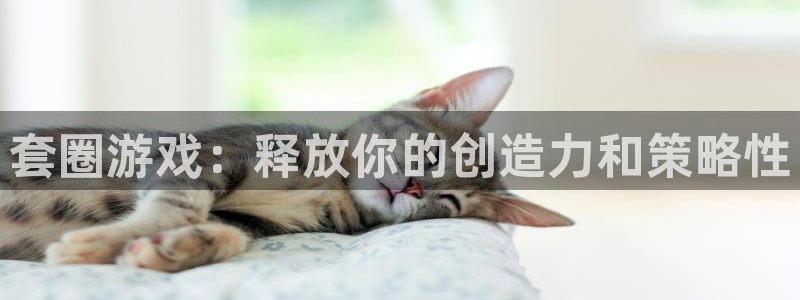  威廉希尔指数：套圈游戏：释放你的创造力和策略性
