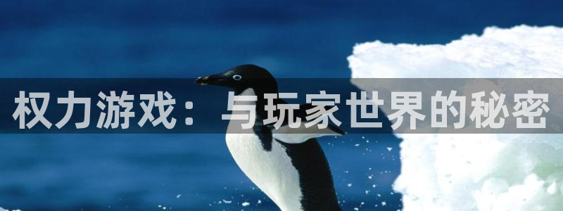  威廉希尔体育app官网：权力游戏：与玩家世界的秘密