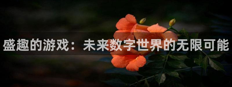 威廉希尔中文网：盛趣的游戏：未来数字世界的无限可能